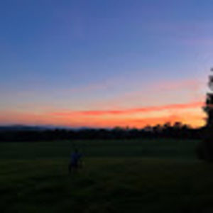 Meet your Posher, Maddie